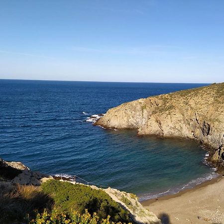 T 2 Tout Confort Avec Terrasse Vue Mer Et Montagne. Banyuls-sur-Mer Exterior foto